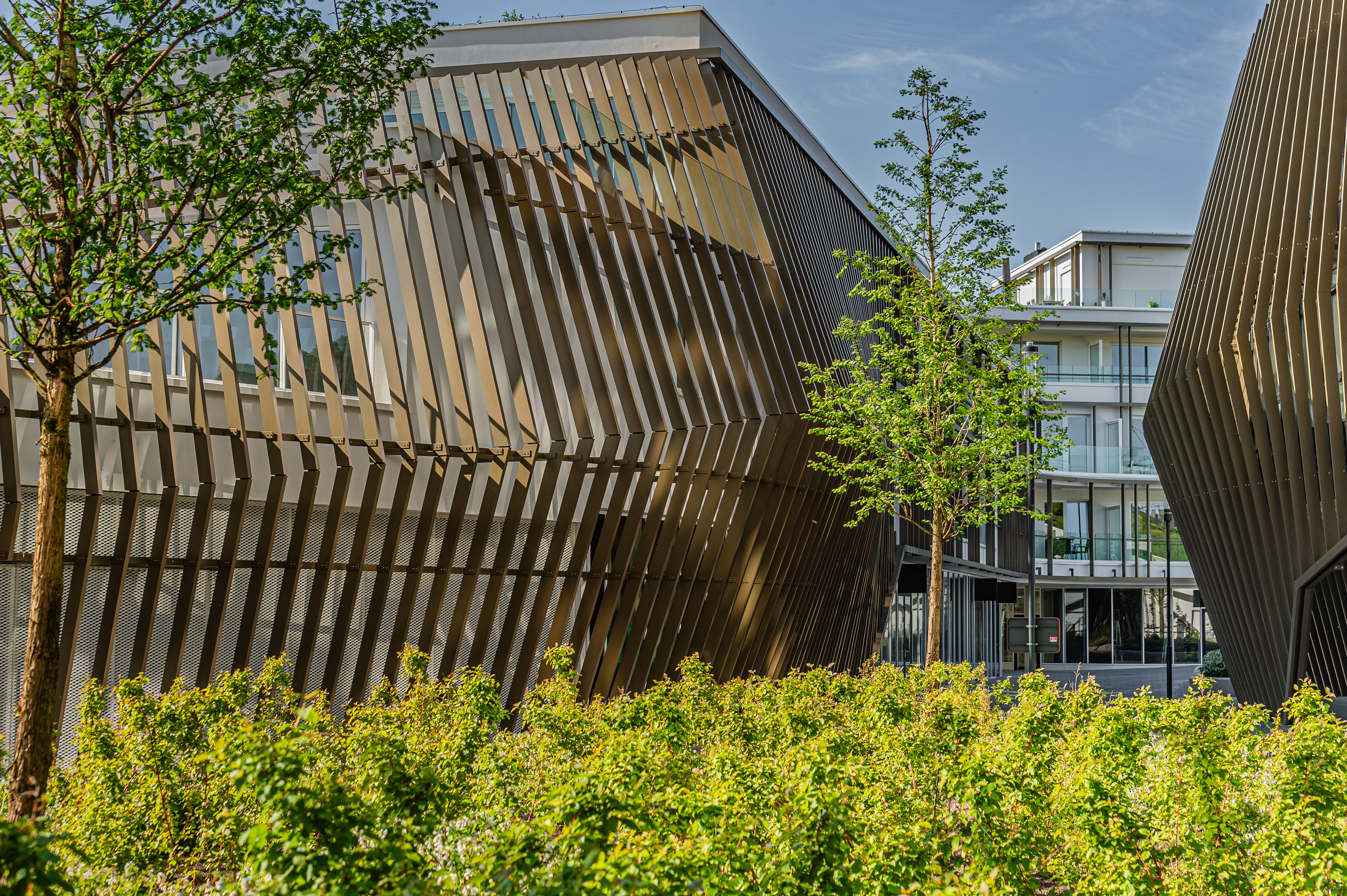 Groene omgeving rond Roelevard